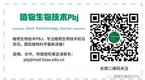PBJ WeChat